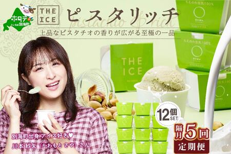 【隔月定期便】北海道アイスクリーム ピスタリッチ12個セット×5回定期便 アイスクリーム