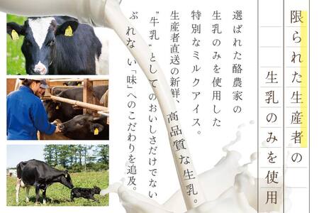 【隔月定期便】 THE ICEいちごケーキ12個セット×6回定期便 be003-1071-200-6　（ あいす アイス アイスクリーム いちご イチゴ 苺 北海道 別海町 人気 ふるさと納税 ）