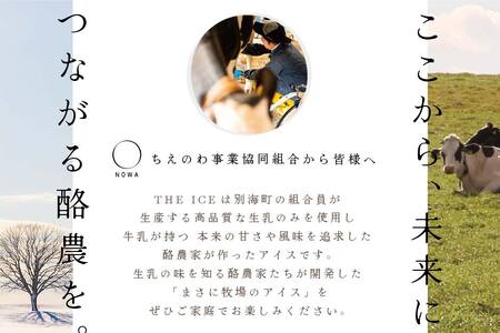【隔月定期便】 THE ICE 3種詰合せ12個セット×6回定期便  be003-1073-200-6　（ あいす アイス アイスクリーム ミルク ピスタチオ いちご イチゴ 苺 セット 北海道 別海町 人気 ふるさと納税 ）