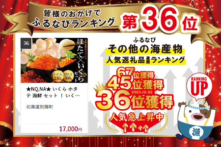  いくら ホタテ 海鮮 福袋 セット ！ いくら 醤油漬け 250g & 北海道 帆立 中粒 500g （ 海鮮福袋 福袋セット ）