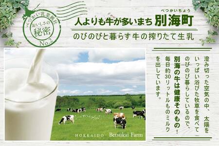 北海道産 べつかいの乳製品セット B (高島屋選定品) be122-1349（ 牛乳