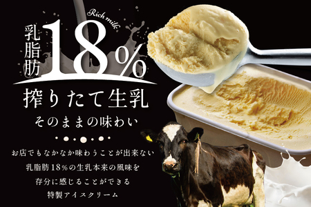 べつかい乳業興社 プレミアムミルクリッチ12個 高島屋選定品 ( あいす アイス アイスクリーム みるく ミルク プレミアムミルク 北海道 別海町 人気 ふるさと納税 )