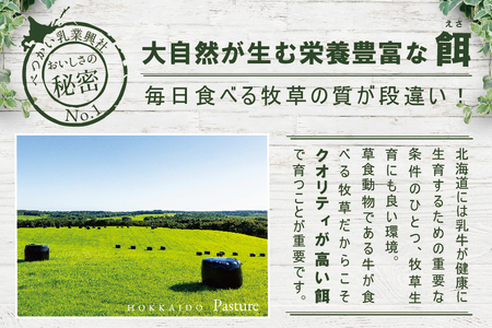 べつかい乳業興社 プレミアムミルクリッチ12個 高島屋選定品 ( あいす アイス アイスクリーム みるく ミルク プレミアムミルク 北海道 別海町 人気 ふるさと納税 )