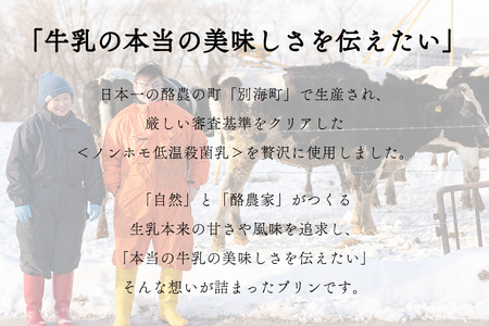 【定期便】　濃厚プリン　New Pudding（ニュープディング）（500g×1本）×12ヶ月 be152-0931-100-12　（ ぷりん プリン プディング 北海道 別海町 人気 ふるさと納税 ）