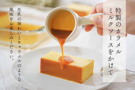 【隔月定期便】　濃厚プリン　New Pudding（ニュープディング）（500g×1本）×6回 be152-0931-200-6　（ ぷりん プリン プディング 北海道 別海町 人気 ふるさと納税 ）