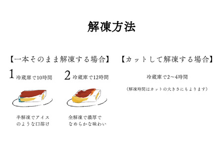 【隔月定期便】　濃厚プリン　New Pudding（ニュープディング）（500g×1本）×6回 be152-0931-200-6　（ ぷりん プリン プディング 北海道 別海町 人気 ふるさと納税 ）