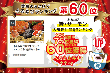 サーモン ･ いくら 海鮮福袋セット 各250g （ 海鮮福袋セット サーモン いくら イクラ 鮭卵 醤油漬け セット 北海道 人気 ふるさと納税 ）