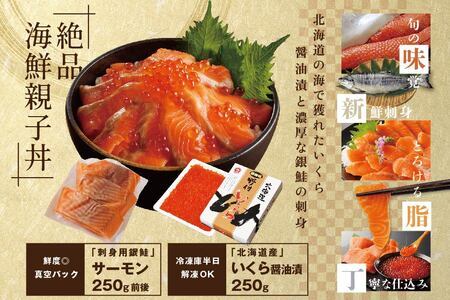 サーモン ･ いくら 海鮮福袋セット 各250g （ 海鮮福袋セット サーモン いくら イクラ 鮭卵 醤油漬け セット 北海道 人気 ふるさと納税 ）