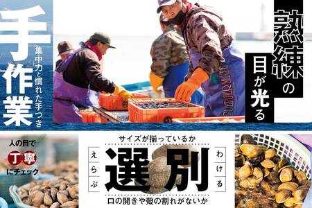  【冷凍】北海道　道東産 アサリ中 6kg 約 300g ×20 袋（北海道 あさり アサリ 人気 ふるさと納税 ）