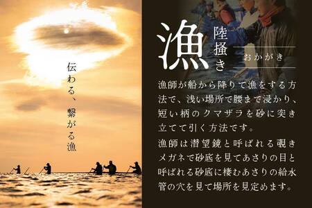  【冷凍】北海道　道東産 アサリ中 3kg 約 300g ×10 袋（北海道 あさり アサリ 人気 ふるさと納税 ）