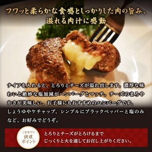 別海牛100%と別海町ゴーダチーズ　チーズがとろける!別海チーズインハンバーグ(120g×15個)　【ND0000088】　（ はんばーぐ ハンバーグ チーズインハンバーグ 牛肉 別海牛 ゴーダチーズ 北海道 別海町 人気 ふるさと納税 ）