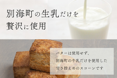 Milk Scone（プレーン1種×6個）【be152-1249】 （ スコーン プレーン 北海道 人気 ふるさと納税 ）