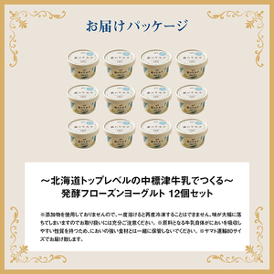 【無添加】北海道 フローズンヨーグルト×12個【1104101】