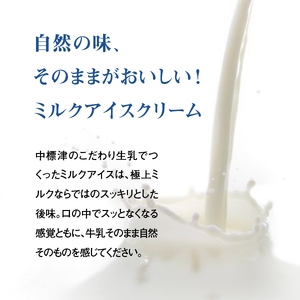 【無添加】北海道 プレミアム アイスクリーム（ミルク）10個【11114】