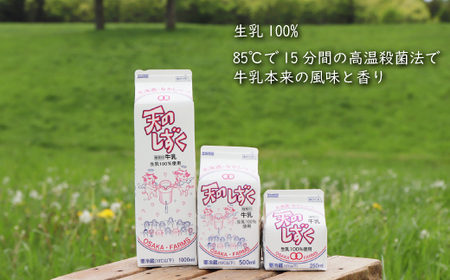 天のしずく　詰め合わせセットＡ(1000ml×3本・500ml×3本・250ml×3本,合計5.2L)【51001】