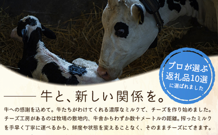 竹下牧場 takeshita farm【定期便３ヶ月】まるごとチーズセット 計560g【24002】