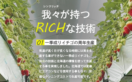 【受注後、随時発送！】【北海道産】ゆきいちご（白いちご）ゆきぼたん 2Pセット 250g×2 計500g 苺 イチゴ 白いちご 一季成りイチゴ 希少 高級 ギフト お取り寄せ ふるさと納税 北海道 中標津 【59001】	