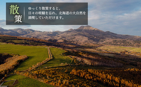 湯宿だいいち 宿泊補助券 20,000円分【63002】