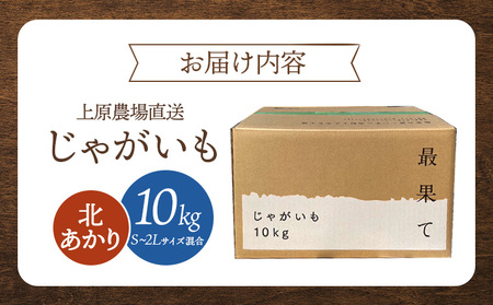 上原農場直送　じゃがいも（北あかり） 10kg【S～2Lサイズ混合】【6600401】