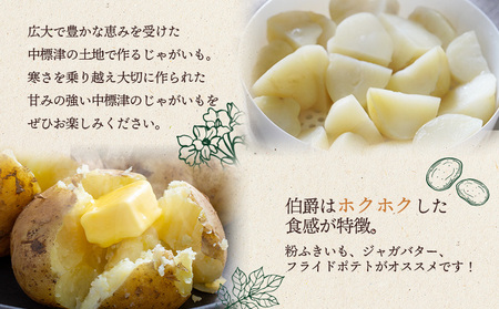 上原農場直送 じゃがいも(伯爵) 10kg【S~2Lサイズ混合】【6600301】