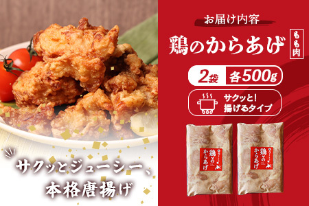 【ふるなび限定】【揚げるタイプ】鶏のからあげ もも1.0kg（500g×2パック）FN-Limited-PR【35184】