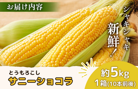 【2026年度発送分】上原農場直送 有機栽培とうもろこし (サニーショコラ) 約5kg 約10本前後【66019】