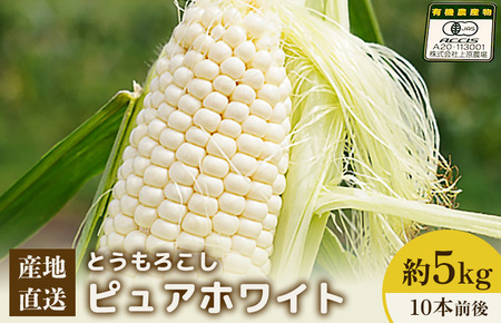 【2026年度発送分】上原農場直送　有機栽培とうもろこし (ピュアホワイト) 約5kg 約10本前後【66016】