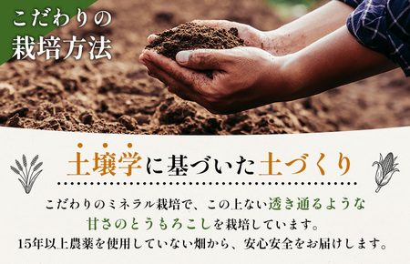 【2026年度発送分】上原農場直送　有機栽培とうもろこし (ピュアホワイト) 約5kg 約10本前後【66016】