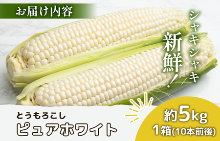 【2026年度発送分】上原農場直送　有機栽培とうもろこし (ピュアホワイト) 約5kg 約10本前後【66016】