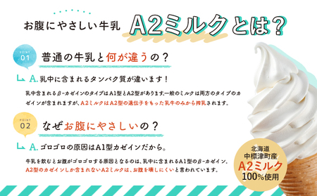 中標津町　超乳アイス（ミルク＆チョコ）　140ml×6個セット　計840ml【78001】