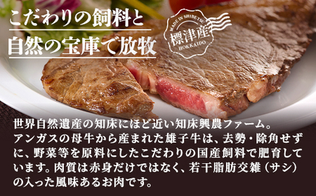 知床興農 牛サーロインステーキ 200g×2パック 牛肉 赤身【配送不可地域:離島】【1513736】