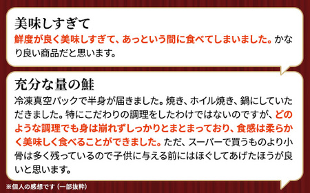 北海道道東産　活き〆時知らず鮭半身切身(小小)約700-900g 北海道 人気 おすすめ さけ 天然_サケ しゃけ ときしらず トキシラズ 冷凍 真空パック 個包装 小分け 鮭切身 切り身 無塩 サーモン_【配送不可地域：離島】【1148427】