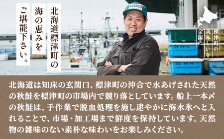 鮭親子丼セット【純標津産】2~3人前用 イクラ 北海道 人気 おすすめ サケ サーモン 魚卵 天然【配送不可地域:離島】【1176412】