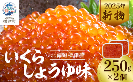 【令和7年新物】いくら・しょうゆ味・標津産 250g×2個 イクラ 北海道 さけ 魚卵 天然 海産物_いくら いくら醤油漬け 冷凍 小分け 鮭 鮭卵 国産 本場 北海道産_【配送不可地域：離島】【1176414】
