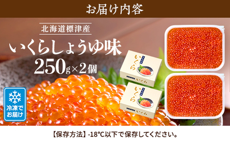 【令和7年新物】いくら・しょうゆ味・標津産 250g×2個 イクラ 北海道 さけ 魚卵 天然 海産物_いくら いくら醤油漬け 冷凍 小分け 鮭 鮭卵 国産 本場 北海道産_【配送不可地域：離島】【1176414】