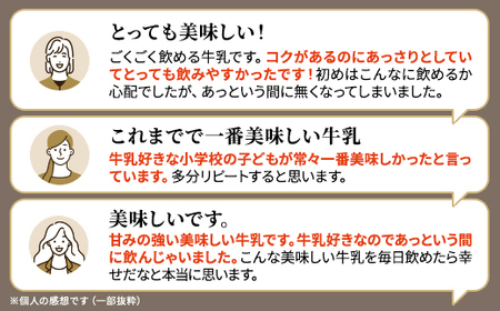 【毎月定期便】【4ヶ月定期便】しべつ牛乳1L×4本　北海道 パックミルク 美味しい全4回【配送不可地域：離島】【4067097】
