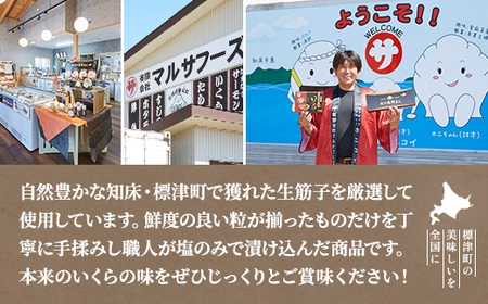 【令和7年新物】鮭 塩 いくら 120g 北海道産 塩漬け サケ イクラ 人気 おすすめ 天然【配送不可地域：離島】【AH011】