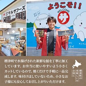 【骨抜き・カット】生鮭切り身 計1kg(500g×2袋)味付け無 北海道産 冷凍 切身 【配送不可地域：離島】【1698988】