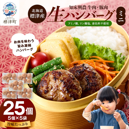 生ハンバーグミニ 25個セット(5個×5パック)冷凍でお届け 国産 牛肉 豚肉 ギフトにもおすすめ【配送不可地域：離島】【1700039】