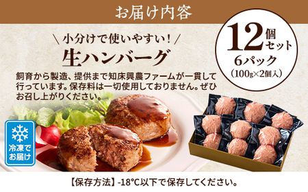 生ハンバーグ12個セット 冷凍 国産 牛肉 豚肉 ギフト 小分け 人気 便利【配送不可地域:離島】【1088219】