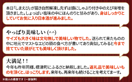 北海道産ボイル北海しまえび【3D凍結】大 400g×1　エビ 海老 冷凍 おいしい_つまみ 海鮮 魚介 ボイル済 大サイズ えび ほっかいしまえび ホッカイシマエビ_【配送不可地域：離島】【1123704】
