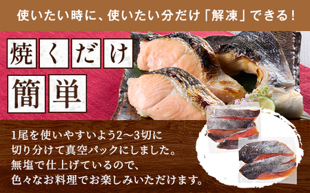 北海道道東産　活き〆時知らず鮭半身切身(中)約1kg-1.3kg 北海道 人気 おすすめ さけ 天然【配送不可地域：離島】【1148812】