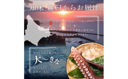 羅臼産冷凍煮だこ(4本)5kg｜たこ　北海道