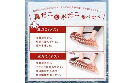 羅臼産冷凍煮だこ(4本)5kg｜たこ　北海道