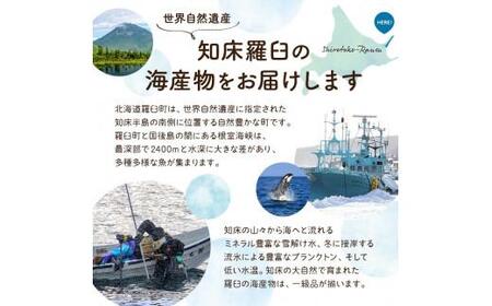 開きホッケLL 420g×3枚 魚 北海道 海産物 魚介 魚介類 生産者 支援 応援