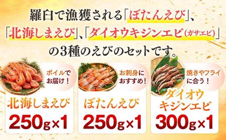 知床らうす 3種えび食べ比べセット ダイオウキジンエビ ガサエビ 北海しまえび ぼたんえび 海老 食べ比べ 刺身 海鮮丼 羅臼町 北海道 生産者 支援 応援