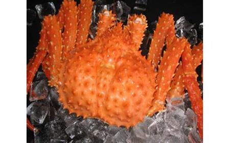 羅臼産イバラガニ（超特大）３kgX１尾｜蟹　北海道