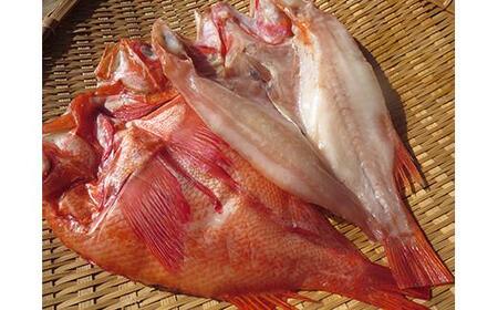 キンキ(めんめ)の一夜干し 特大2枚セット 生産者 支援 応援