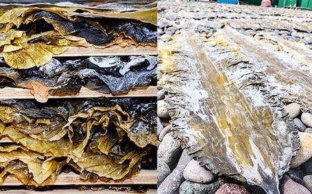 天然１等 天神さん家の花折羅臼昆布 2枚入り  ｜ 昆布 北海道 