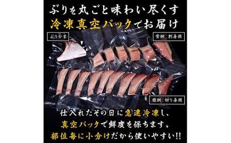 ぶり三昧(2)(半身分) 生産者 支援 応援